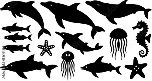 set of sea animals