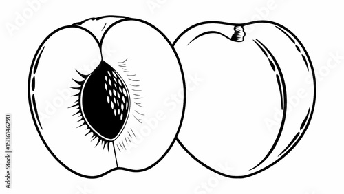 Illustration of two peaches one whole and one cut in half showing the pit in black and white style