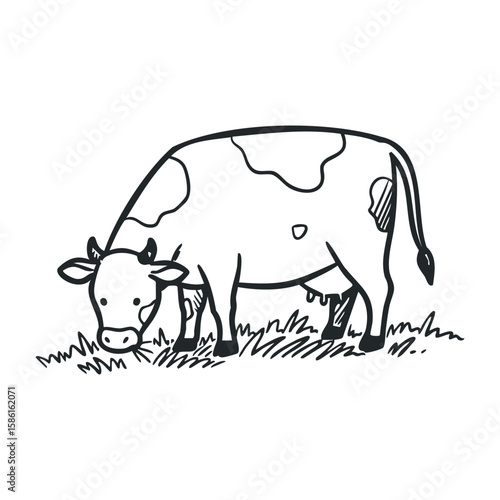 Black and white illustration of a cow grazing in a field with grass. Hand drawn vector illustration