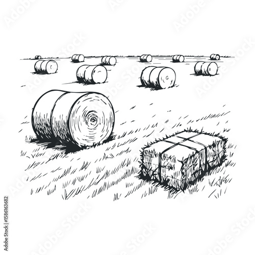 Field with rolled hay bales and rectangular haystack in black and white sketch. Hand drawn vector illustration