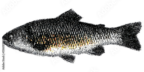 Vintage Fish In Halftone. Retro Aquatic Life For Nostalgic Designs Illustration Isolated On Transparent Background