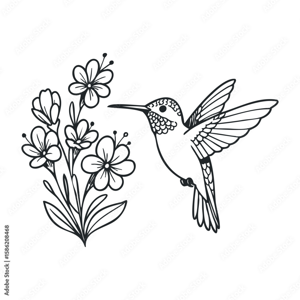 Obraz premium Hummingbird with flowers line art: detailed illustration of nature's grace. Hand drawn vector illustration