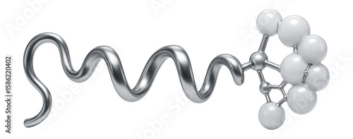 Sumoylated protein segment with a small ubiquitin-like modifier attached