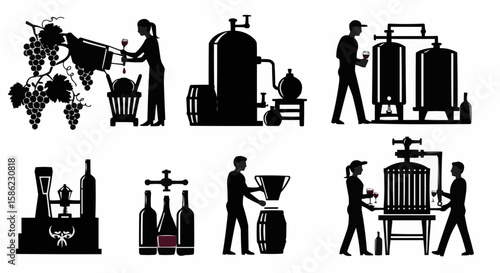 Winemaking process infographic.