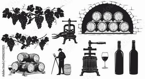 Wine production, grape and barrel with wine bottles.