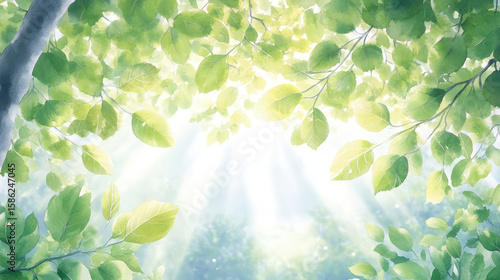Lush green leaves create vibrant canopy, allowing soft sunlight to filter through, illuminating forest scene. interplay of light and foliage evokes sense of peace and connection with nature