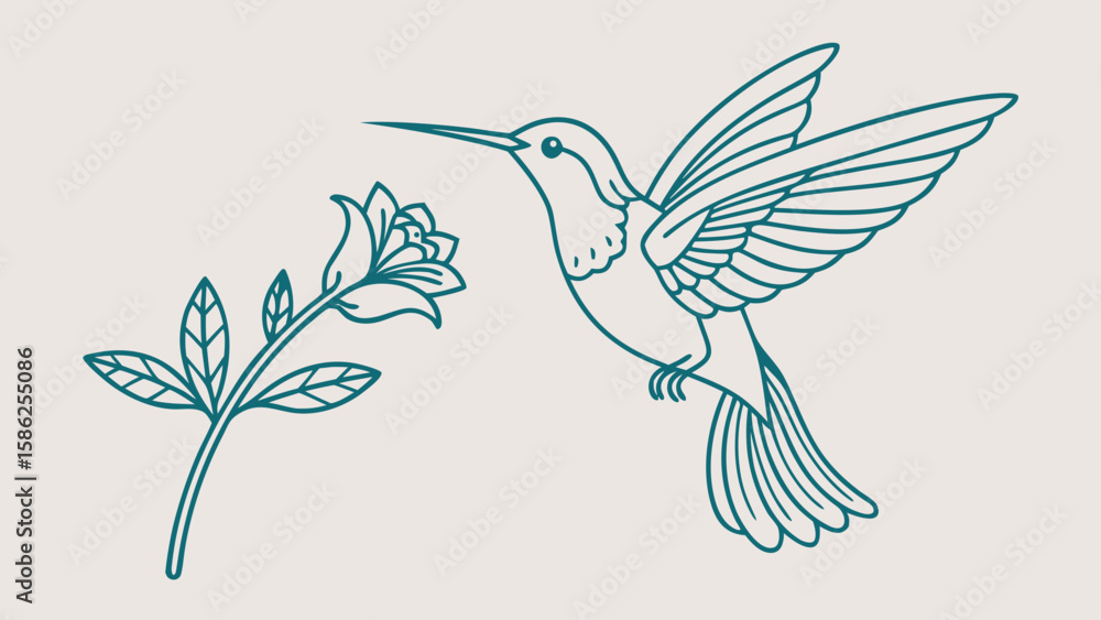 Obraz premium Teal Line Drawing Hummingbird Flower Feeding line art