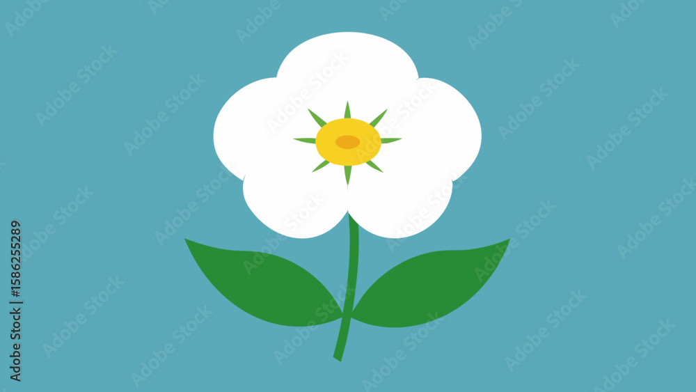 Obraz premium Flat Vector Illustration White Cherokee Rose Blossom Yellow Center Green Leaves Teal Background 1