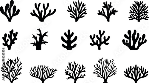 Black coral silhouettes showcase diverse shapes, perfect for marine life 