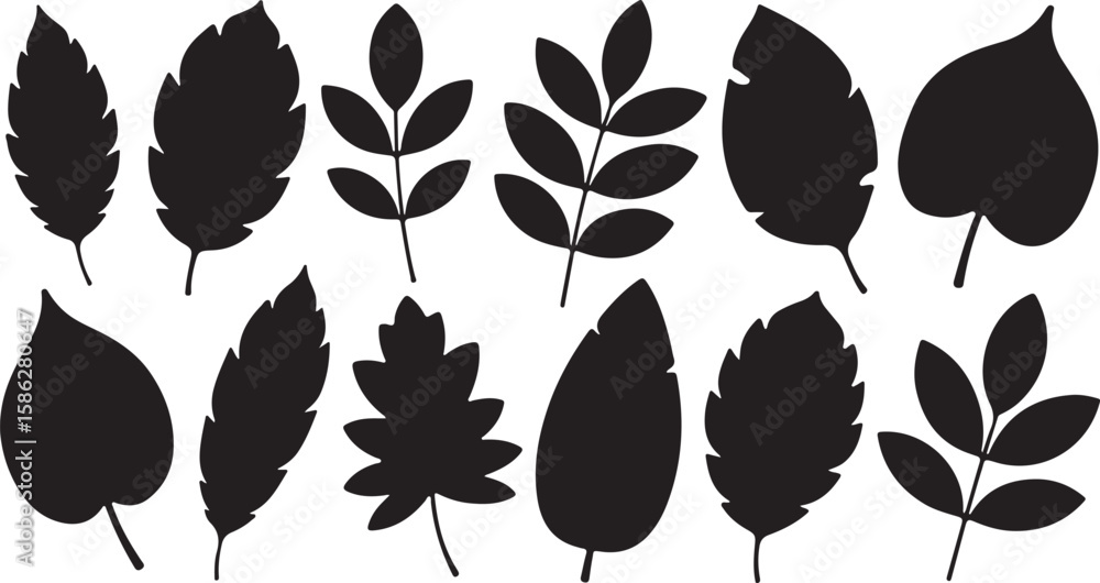 Obraz premium Black Leaf Silhouettes on White Background Various Leaf Shapes and Designs for Nature Themes