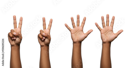 Five clean, well-manicured human hands with various skin tones precisely display numerical gestures from one to five, isolated against a transparent background with copy space. Concept of counting and