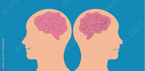 A character with bipolar disorder, mind that can be described as having a double face, split personality and mood disorder