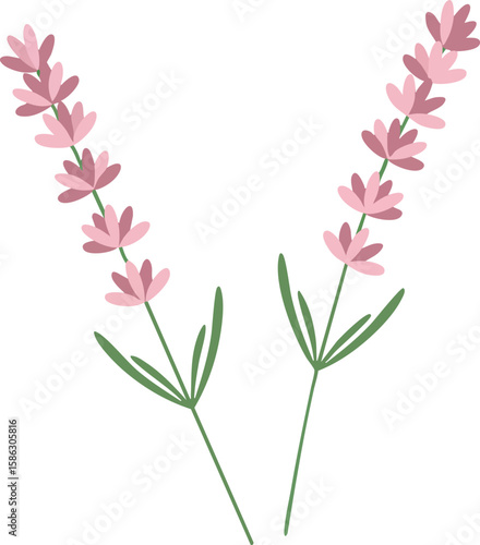 Wallpaper Mural Pink Lavender Flowers with Green Stems and Leaves Vector Illustration in Minimalist Style  Torontodigital.ca