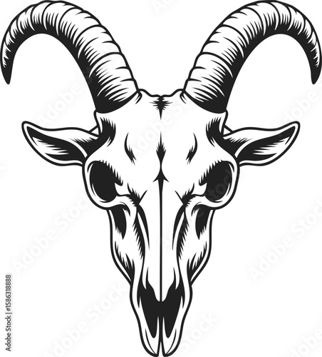 Goat skull, horned animal skull, vertebrate remains, vintage engraved style, detailed etching, unique artwork for design purposes