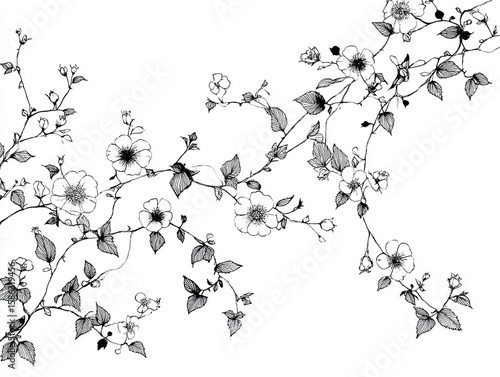 vector illustration of an abstract background