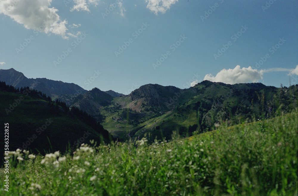 Obraz premium mountain landscape in summer