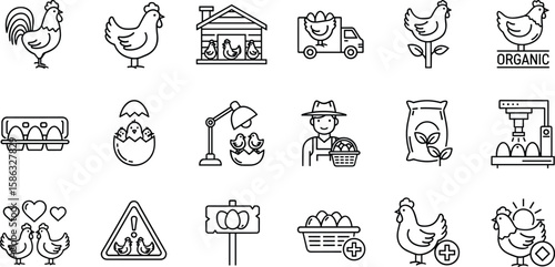Organic chicken farm icons collection with rooster, hen, eggs, hatchery, poultry farm truck, fresh organic food production illustration