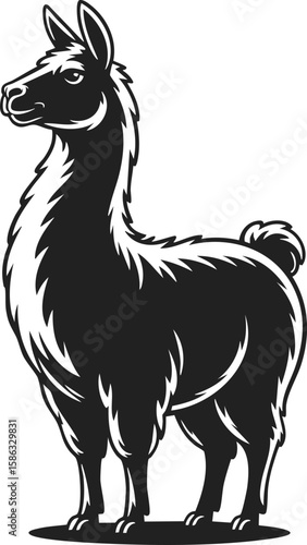 Llama, Andean animal, camelid, wool-bearing creature, towering pose, graceful figure, vintage engraving style
