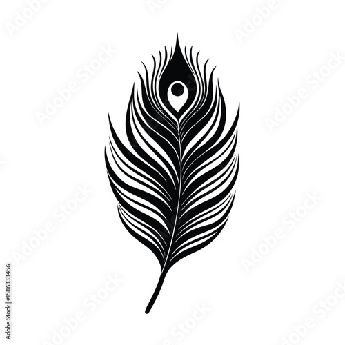 peacock feather vector illustration
