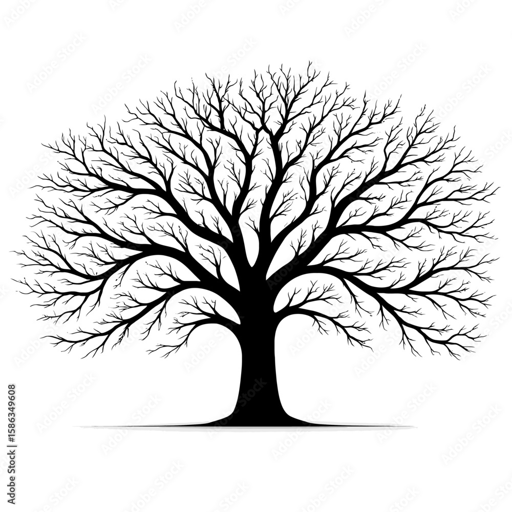 Obraz premium Bare Tree Silhouette on White Background, Nature Art