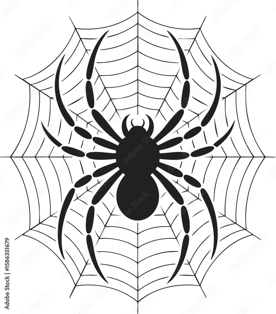 Obraz premium Spider, intricate web design, arachnid illustration, vintage engraving, nature's craftsmanship