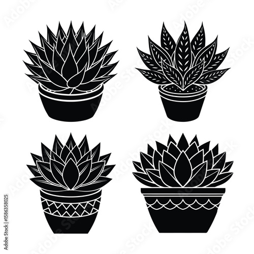 Stylish Black and White Succulent Plants in Decorative Pots: Home Decor Illustration