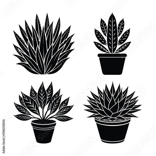 Stylish potted plants: black and white minimalist houseplant illustrations.