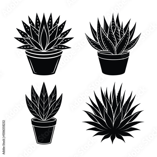 Stylish Black and White Potted Succulents:  Four Diverse Designs, Minimalist Style.