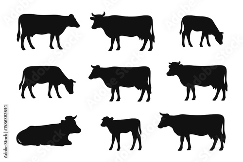 Cow silhouettes vector illustration set. Farm animals collection. Cattle, livestock, and calf icons for beef and dairy concepts. Black shapes isolated on a transparent background.