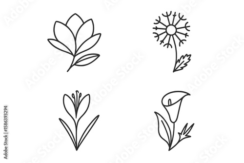 Flower line icon set. Vector pictograms of magnolia, dandelion, crocus, calla lily. Minimalist floral outline symbols for logo design. Botanical nature illustration pack.