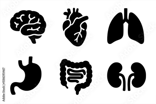 Black Silhouette Human Organ Icons Set. Vector Medical Anatomy Pictograms of Brain, Heart, Lungs, Stomach, Intestine, Kidneys. Healthcare, Biology, Internal Body System, Hospital, Science Concept