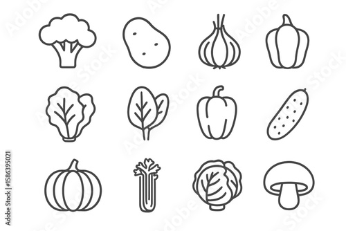 Set of Thin Line Vegetable Icons, Vector Pictograms Including Broccoli, Potato, Onion, Garlic, Lettuce, Spinach, Pepper, Cucumber, Pumpkin, Turnip, Celery, Cabbage, Mushroom – Minimalist Food Symbols