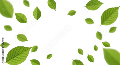 Green leaves fluttering and falling in a gentle breeze against a clean transparent background