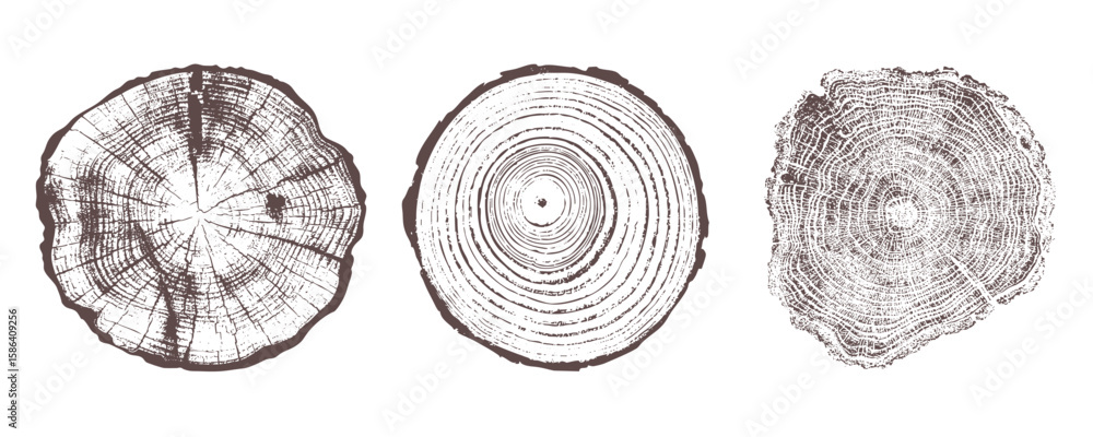 Set of three detailed tree ring patterns 