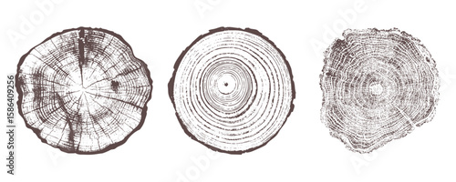 Set of three detailed tree ring patterns 
