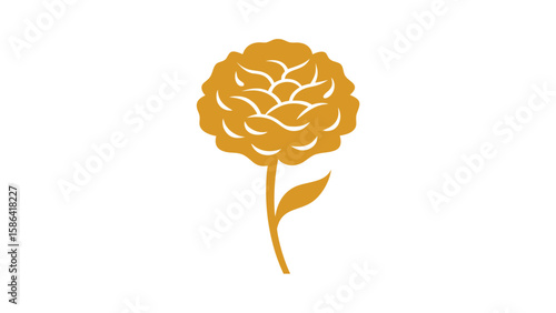 carnation flower in gold vector illustration.