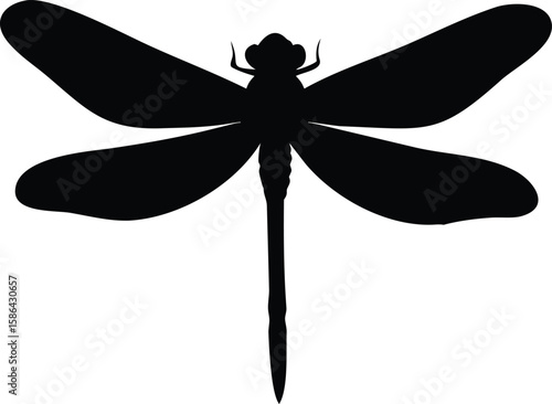 Black silhouette of a dragonfly, wings spread wide, detailed body, insect illustration.