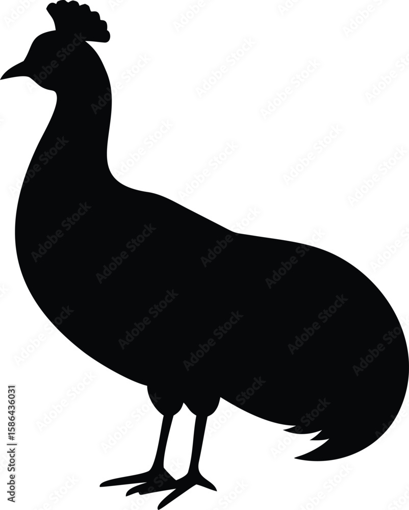 Fototapeta premium Silhouette of a standing peacock, showcasing its distinctive crest and elegant body shape.