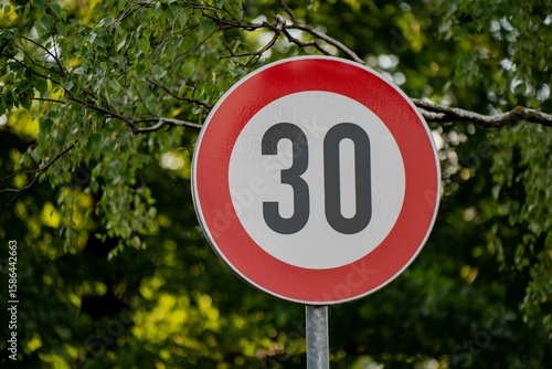Tableau sur toile Traffic sign with 30 speed limit on urban street surrounded by green trees indic