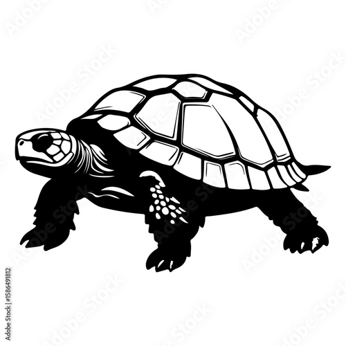 Sea Turtle Marine Animal Silhouette Vector