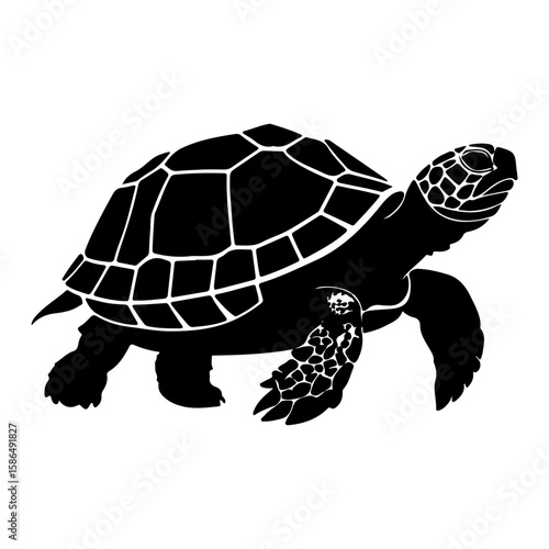 Sea Turtle Marine Animal Silhouette Vector