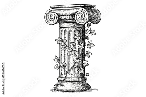 Hand-drawn Ionic column with ivy. Antique vector sketch of a classic Greek or Roman architectural pillar ruin. Vintage historical decorative capital element illustration.