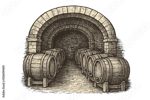 Vintage Wine Cellar Engraving Illustration with Wooden Barrels, Stone Archway, Rustic Winery Vault, Hand-Drawn Vector Art, Transparent Background, Classic Alcohol Storage Concept