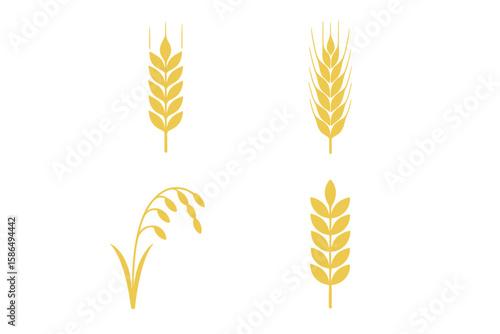 Wheat ear icon set. Golden grain, barley, rye, oat symbols. Agriculture, farming logo. Organic food, bread, bakery concept. Harvest festival. Healthy nutrition vector.