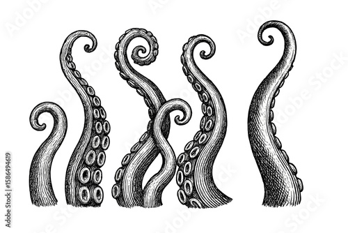 Vintage Hand Drawn Octopus Tentacles Engraving Vector Illustration, Curled Marine Animal Arms, Nautical Sea Life, Isolated on Transparent Background, Detailed Black and White Ocean Creature Art