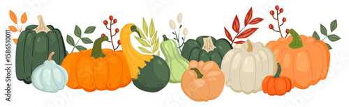 Hand Drawn Autumn Border with Colorful Pumpkins.