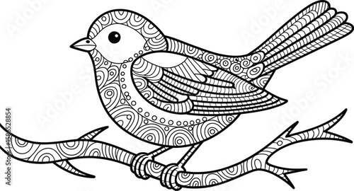 Detailed line art of a bird with intricate patterns perched on a branch ready for coloring page fun