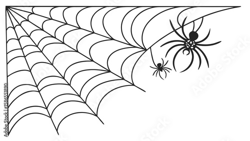 Halloween spider web corner decoration with spiders for halloween party and spooky season decor ideas