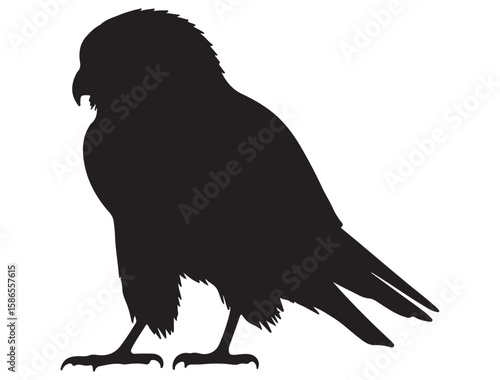 KESTREL BIRD SILHOUETTE