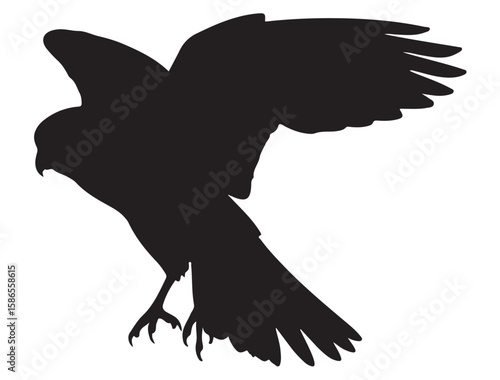 KESTREL BIRD SILHOUETTE